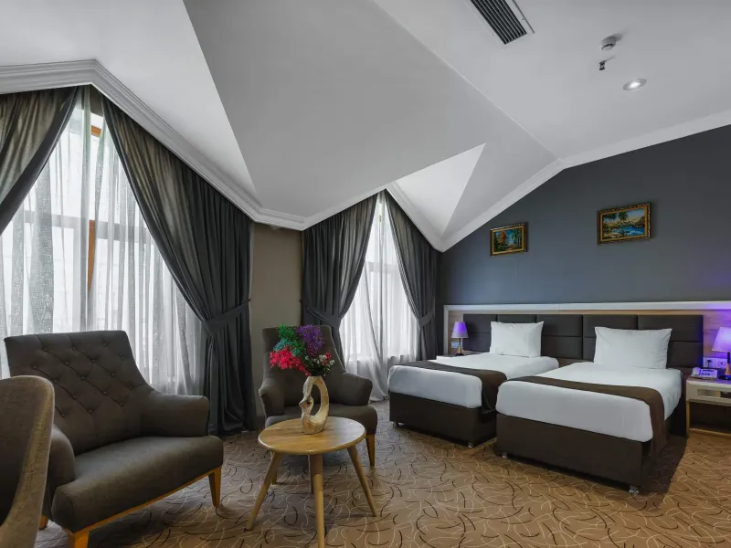 Standard Twin Room