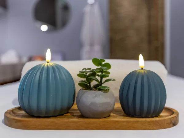 Spa & Wellness Across Ivy Group