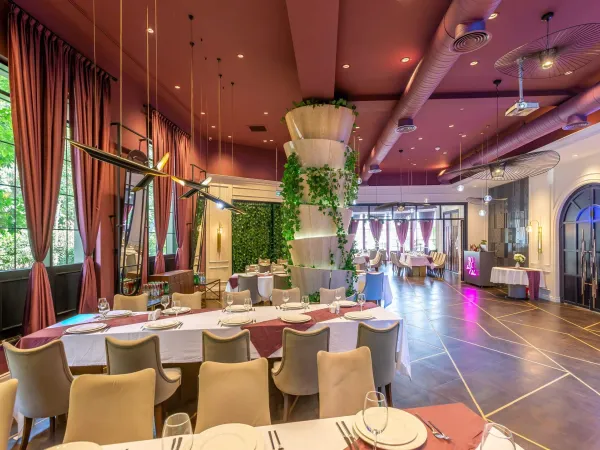 Dining & Catering Coordination Across Ivy Group